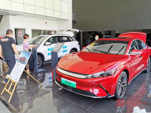新能源車補貼退坡調查 市場終端火爆，車企策略分化，今年銷量劍指600萬輛
